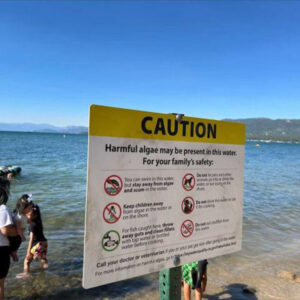 No harmful algal bloom detected at Lake Tahoe sites purported to be ...