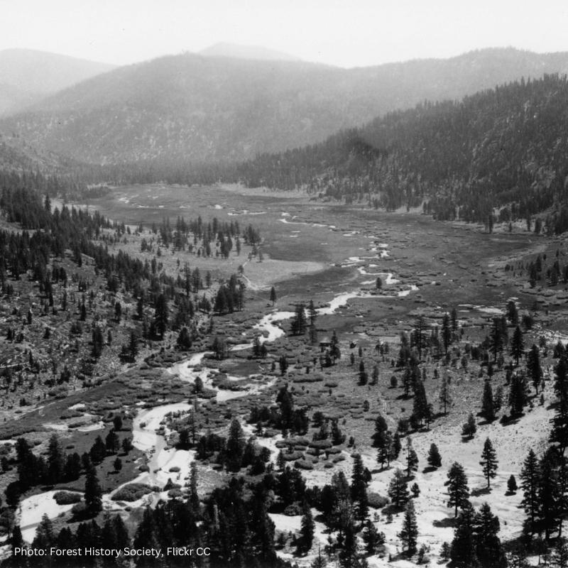 Olympic Valley in 1938_Flickr CC_PC-Forest History Society