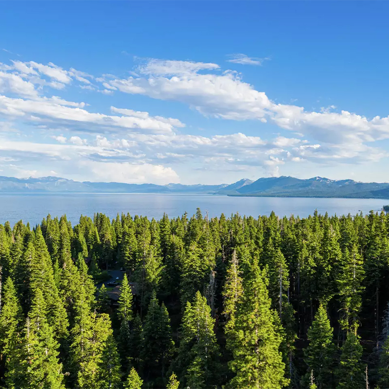 SF Gate article,'There is literally no one': The fallout coming to Lake Tahoe after forest service gutted.